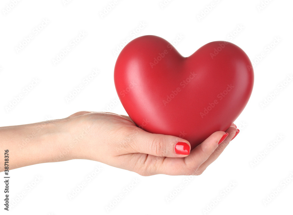 Red heart in woman's hand isolated on white Red heart in woman's hand isolated on white