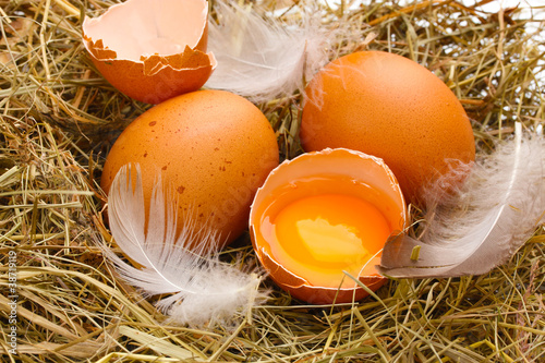chicken eggs in a nest closeup