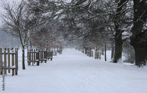 snowy walk