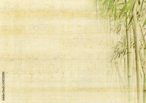 Asia background with bamboo © Repina Valeriya