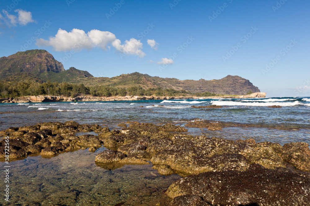 Fototapeta premium Maha'ulepu beach in Kauai