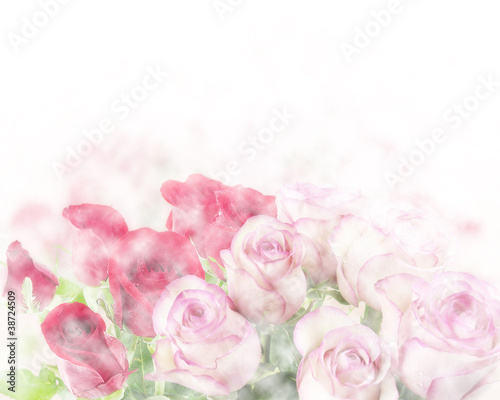 Roses © SunnyS