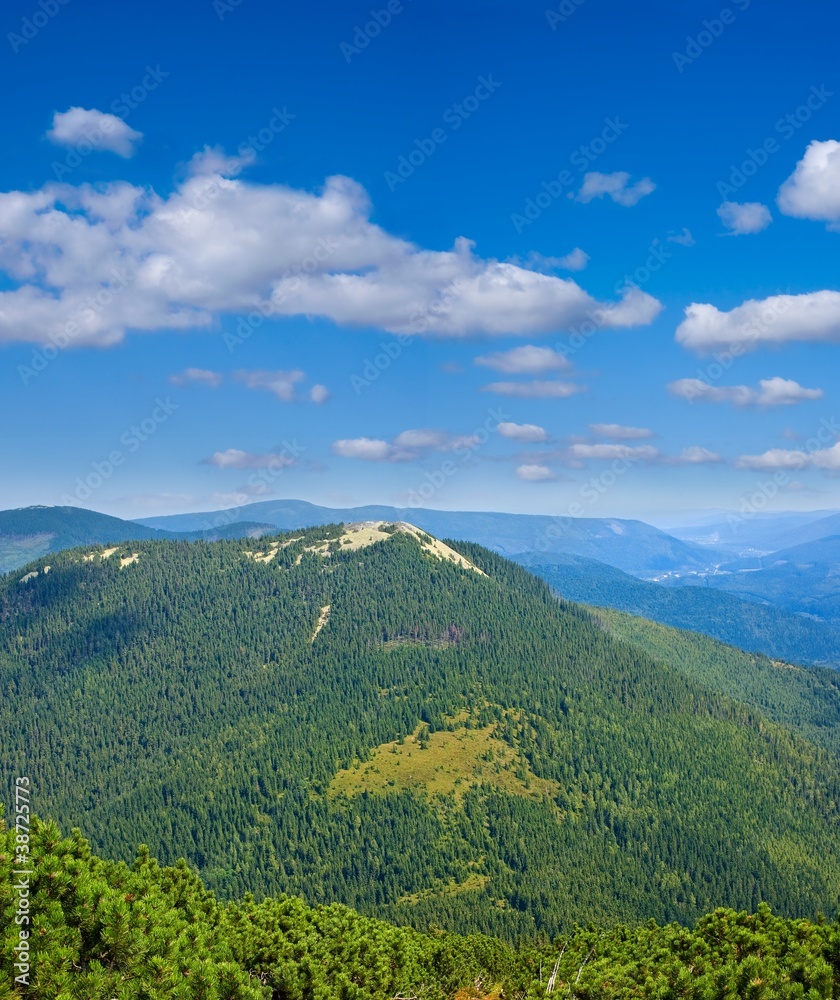 Obraz premium green mountains