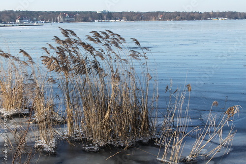 Eisiger Wind am Wannsee