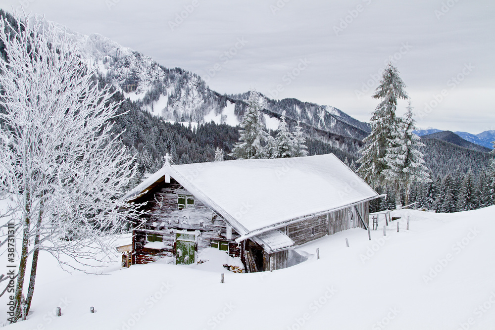 Wasensteiner Alm