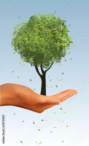 Realistic Hand Holding Tree