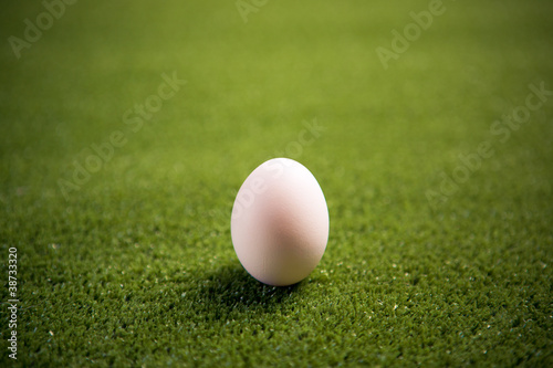chicken egg on the lawn