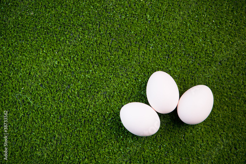 group of eggs on the green lawn