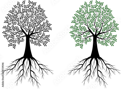 Tree silhouette