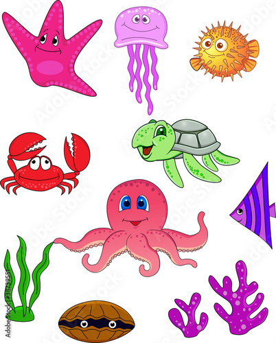 Photography Sea animal collection