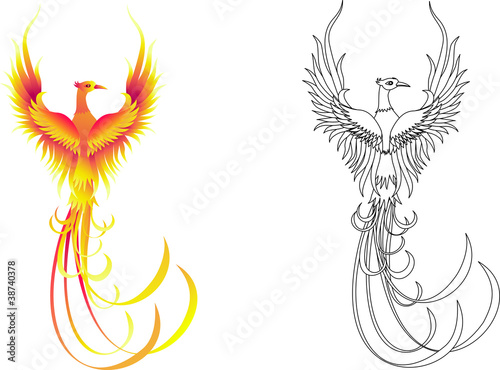 Phoenix bird