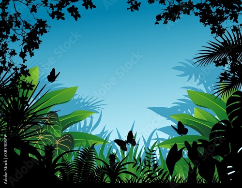 Tropical Forest Background