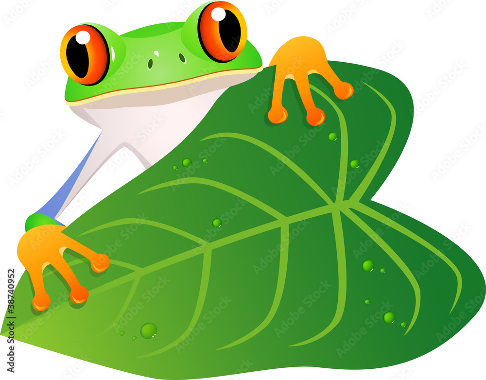 Obraz premium Frog cartoon