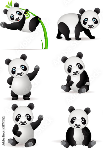 Fototapeta Naklejka Na Ścianę i Meble -  Panda cartoon