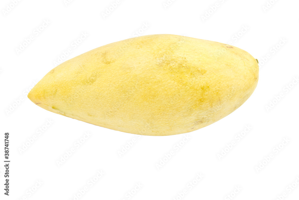 Single ripe golden mango Single ripe golden mango