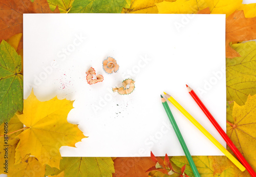 Leaves, paper and pencils