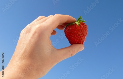 Erdbeere