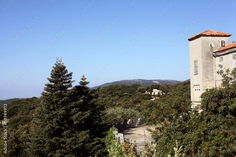 Fototapeta premium Soleil Provençal