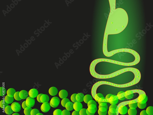 Digestion concept
