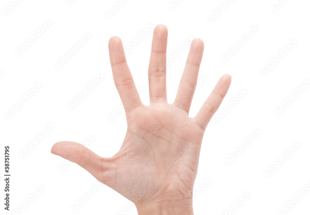 Open woman hand or number five isolated on white Open woman hand or number five isolated on white