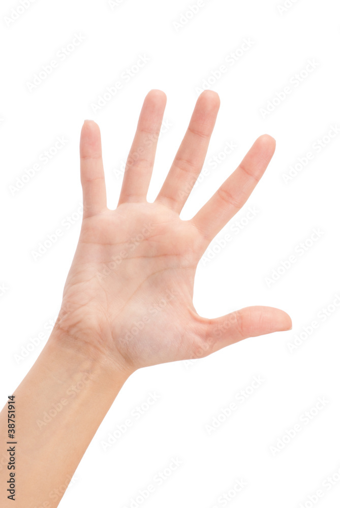Open woman hand or number five Open woman hand or number five