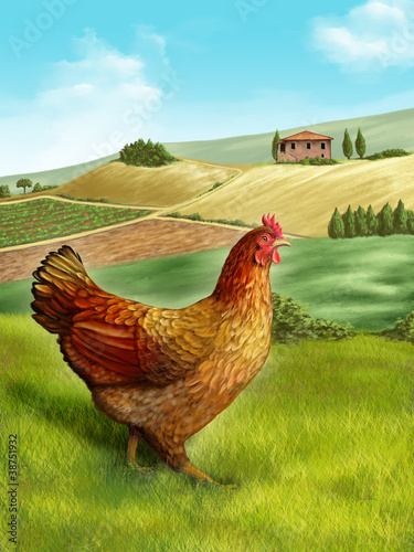 Hen and farm