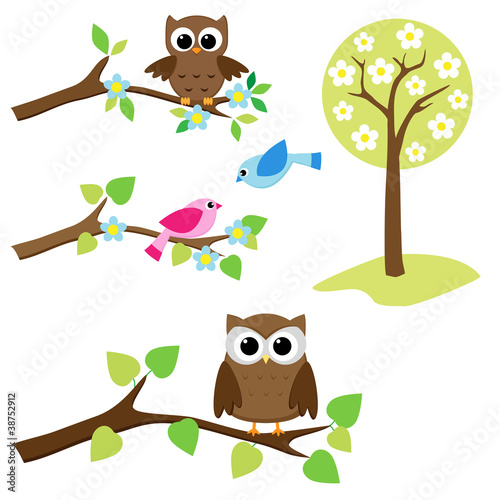 Blooming tree and branches with sitting owls and birds