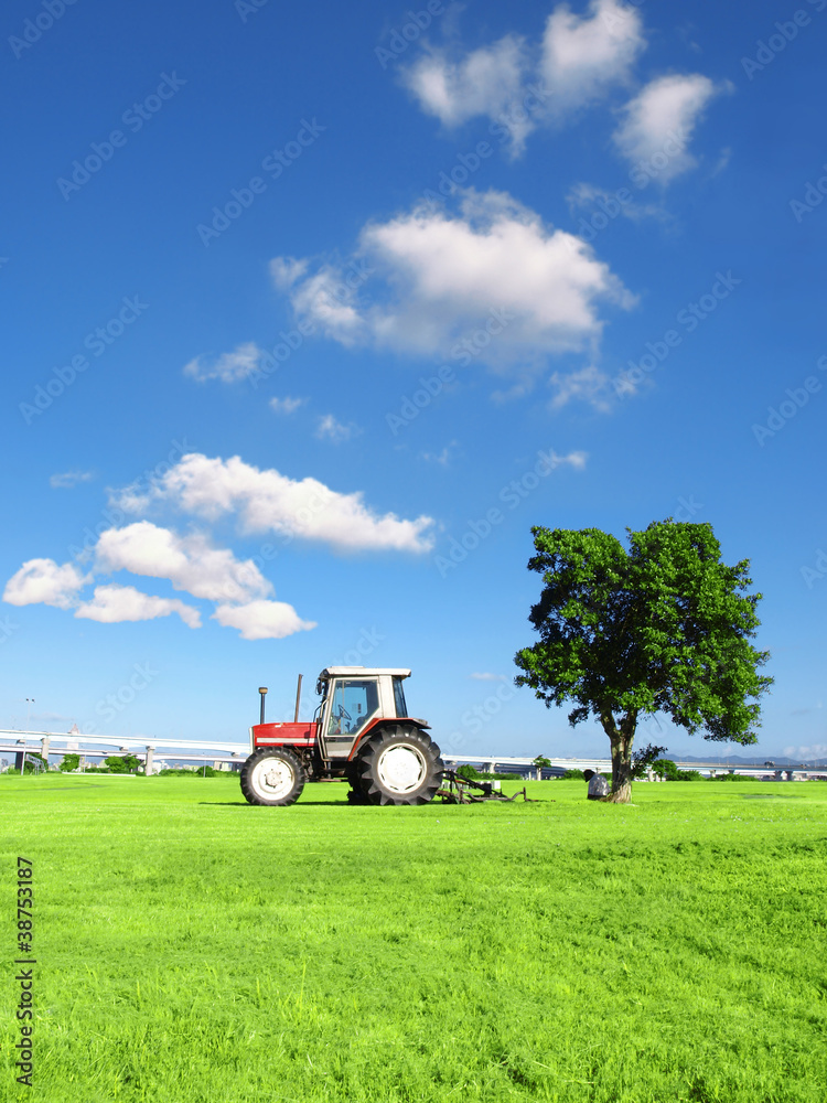 Obraz premium Tractor on grass