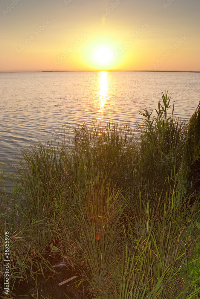 Sun setting in Albufera