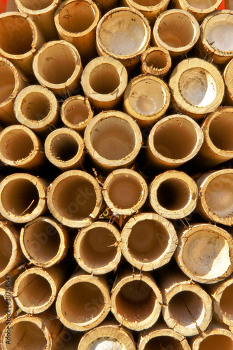 Bamboo pipes.