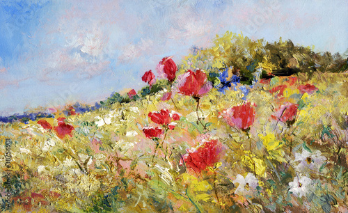 painted poppies on summer meadow