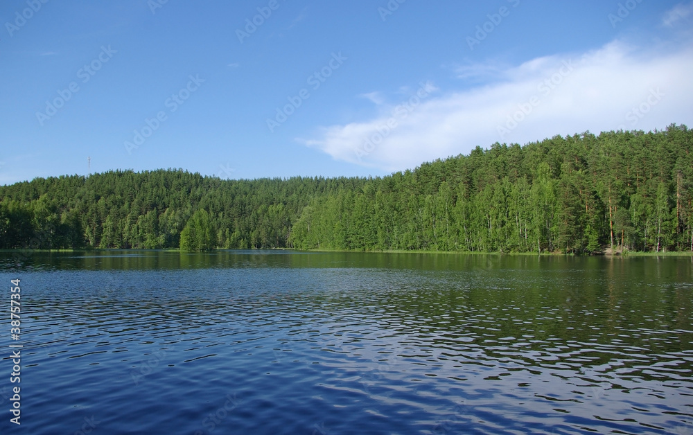 Obraz premium Forest lake