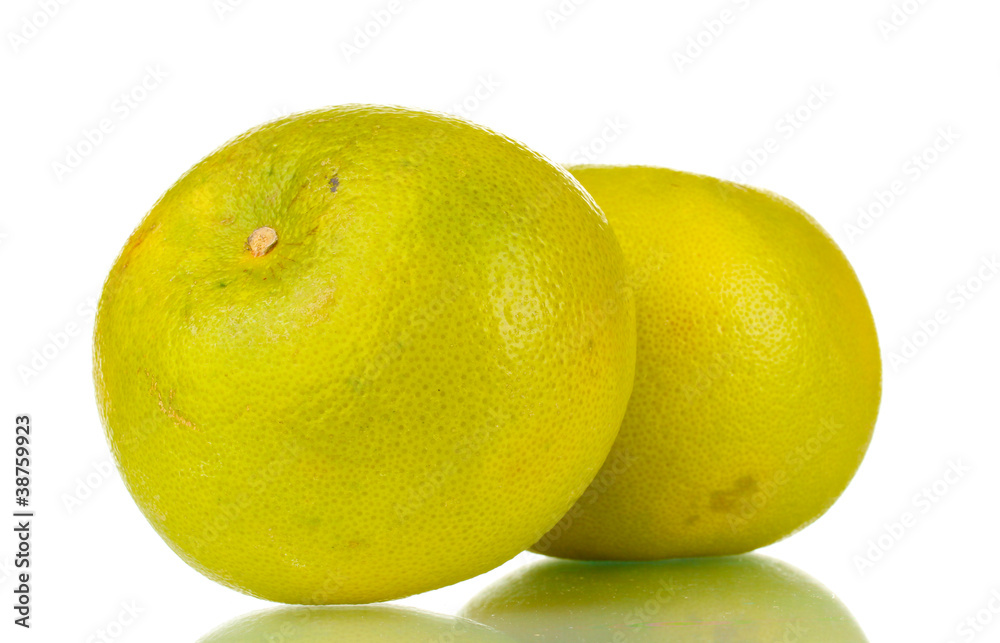 two green grapefruits isolated on white two green grapefruits isolated on white