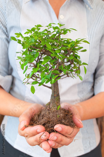 Business woman holding tree