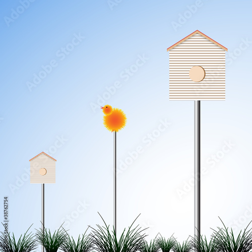 bird houses