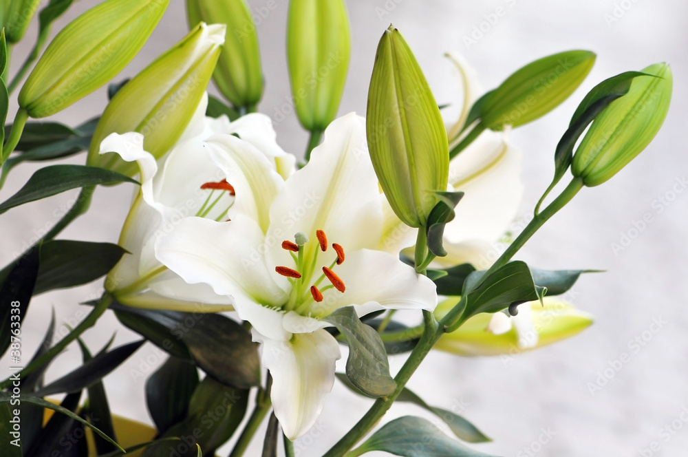 bouquet of fresh flower. (background) bouquet of fresh flower. (background)