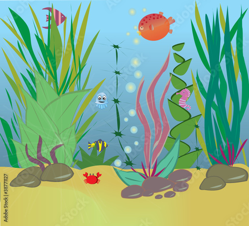 Sea life