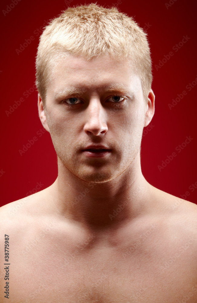 Fototapeta premium Handsome man