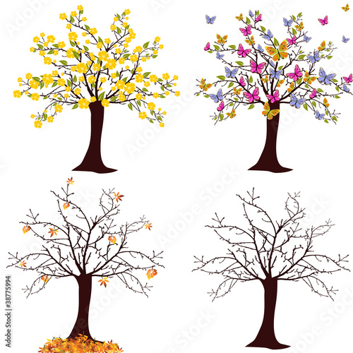 Jahreszeiten - Baum