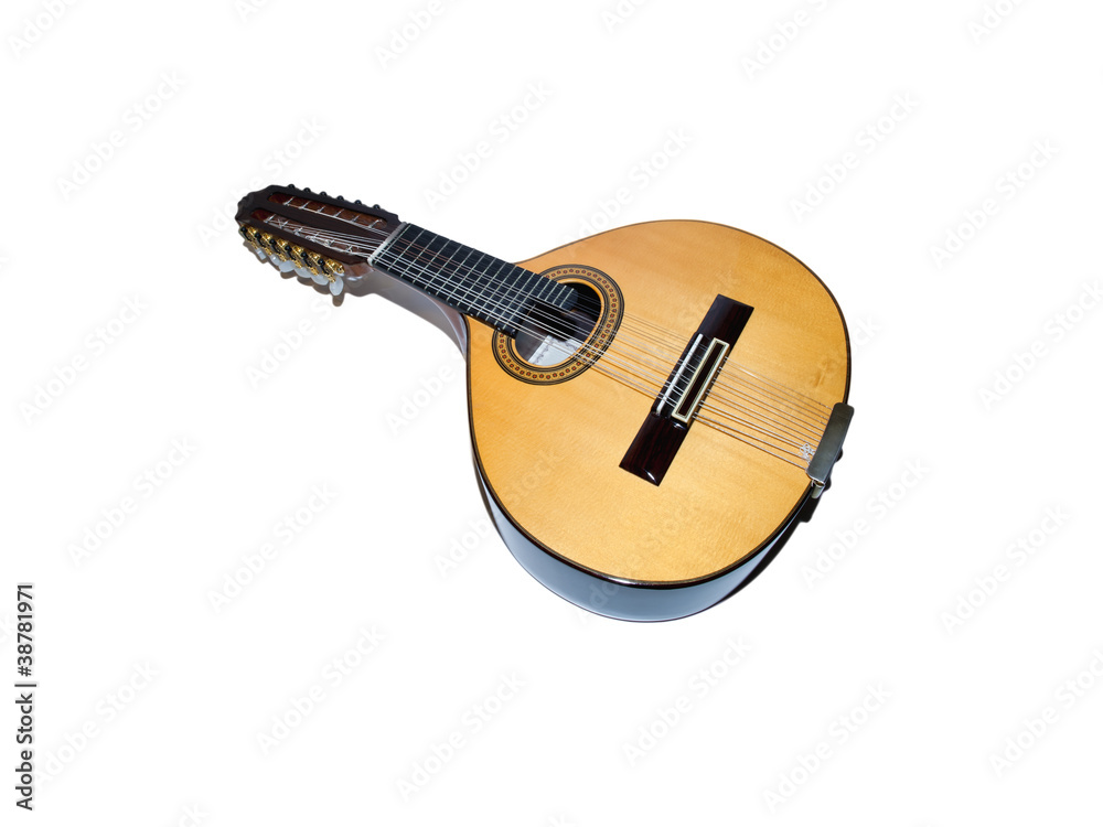 Fototapeta premium bandurria doce cuerdas