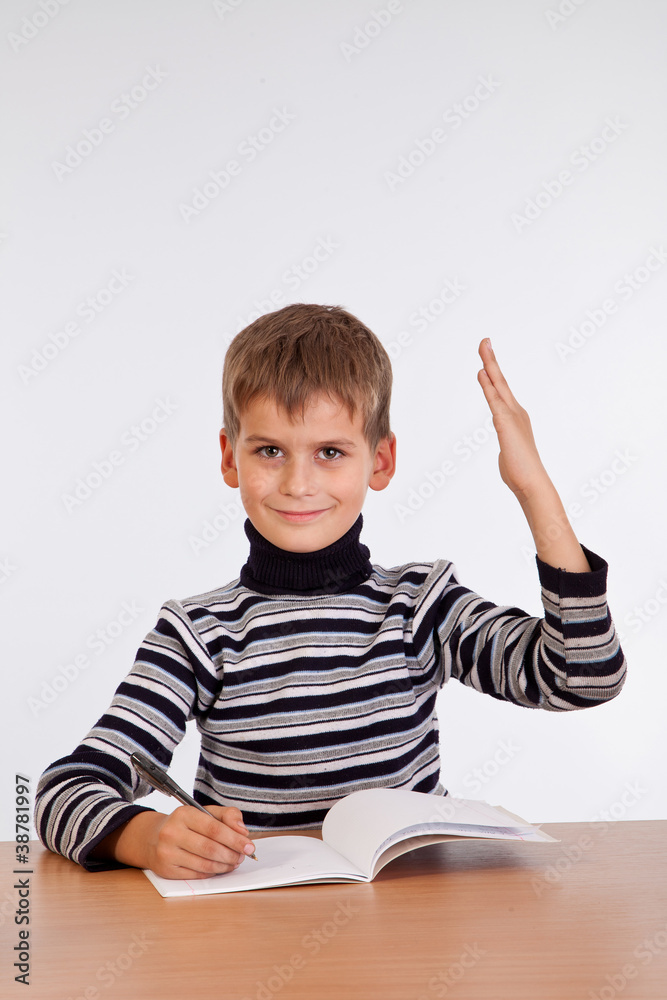 Cheerful Schoolboy ready to answer question Cheerful Schoolboy ready to answer question
