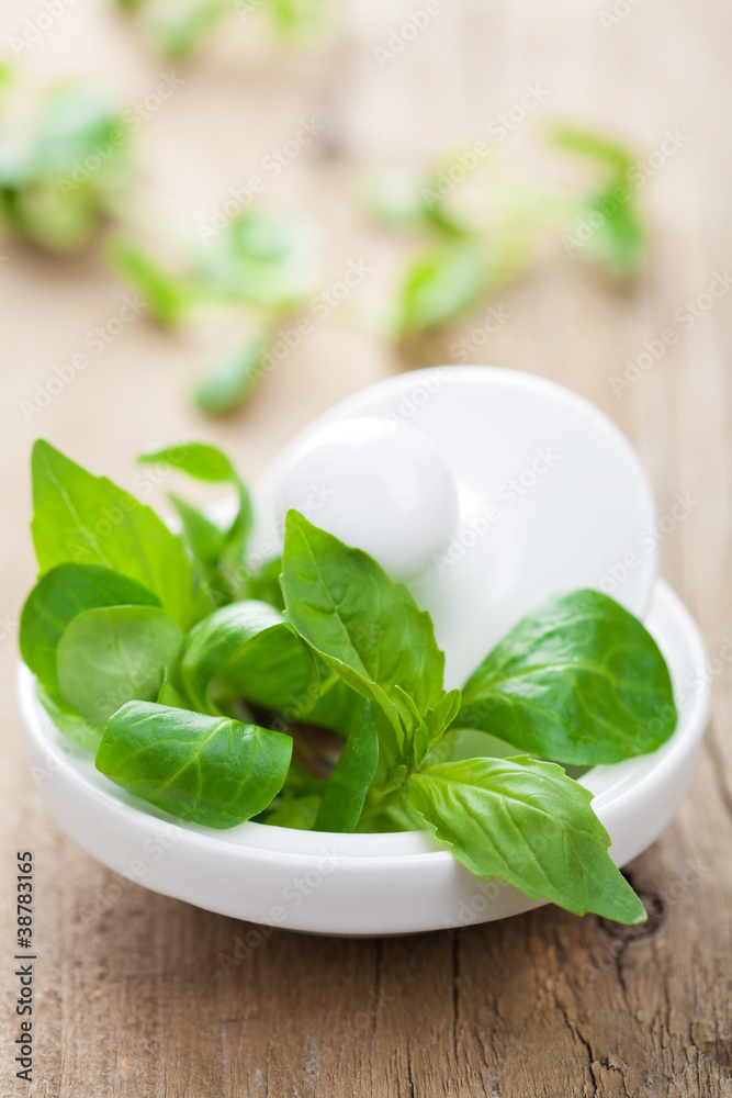 mortar with fresh herbs mortar with fresh herbs