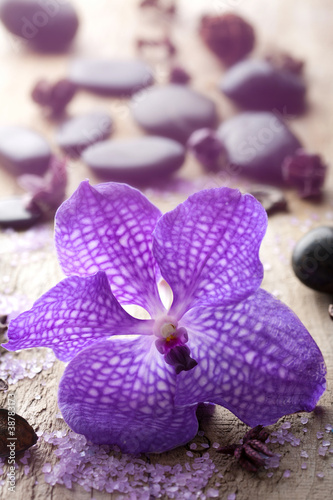 orchid flower for spa