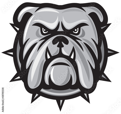 Bulldog head