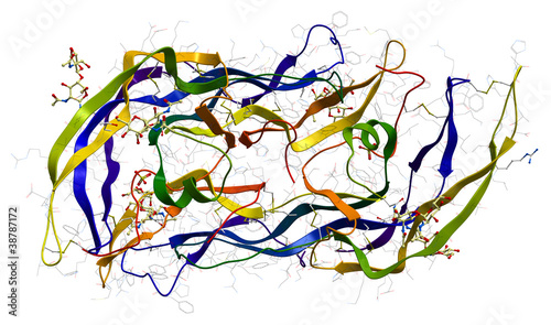 Follicle-stimulating hormone