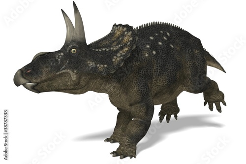 Diceratops   Nedoceratops