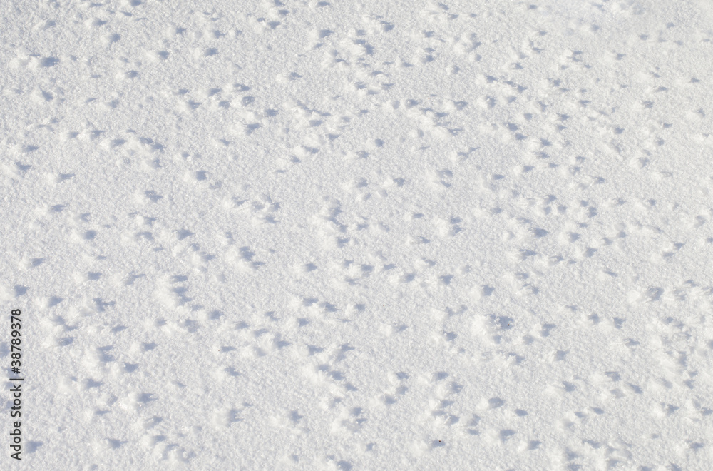 Snow texture.