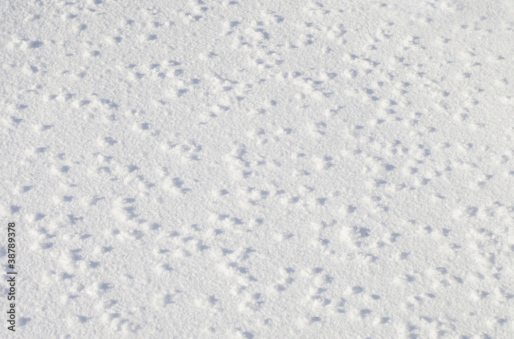 Fototapeta premium Snow texture.