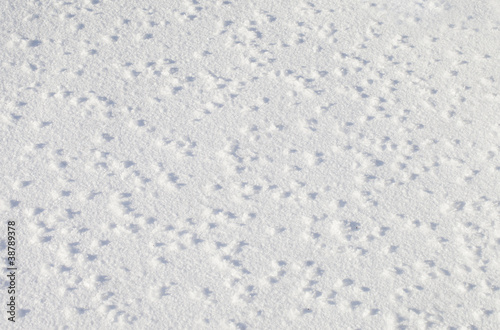 Snow texture.