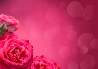 roses with border design